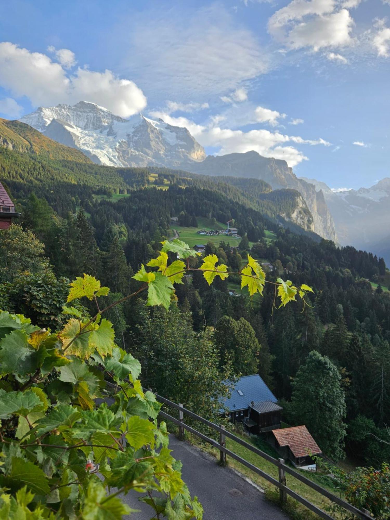 Chalet Aargovia South Wengen Eksteriør bilde